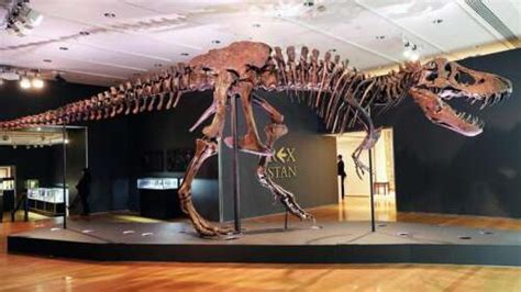 Dinosaur exhibition temporarily closes in Atlanta after intruders cause expensive damage